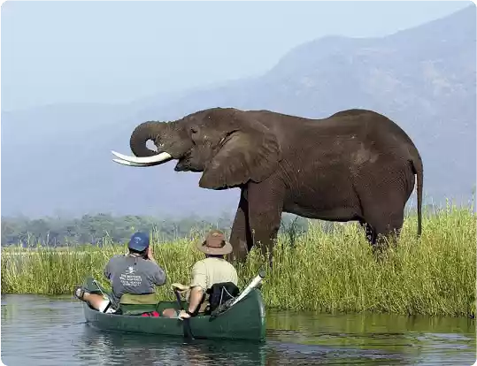 About kiribatitenders